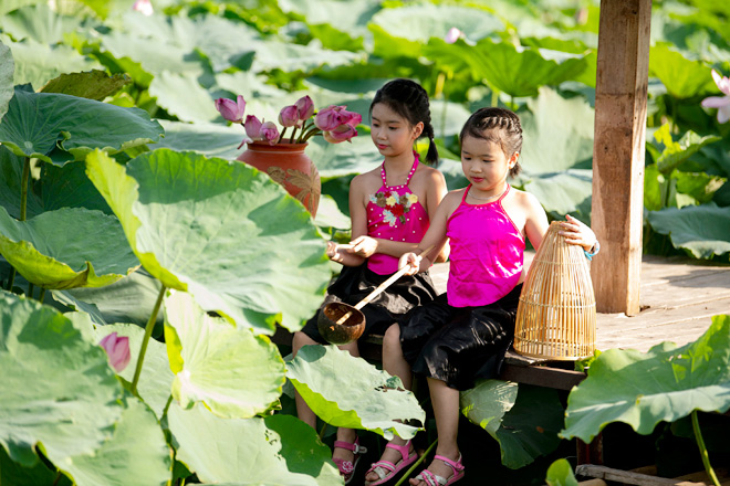 Không chỉ người lớn mà cũng có rất nhiều em nhỏ, được bố mẹ dẫn đến để chụp hình với hoa sen.