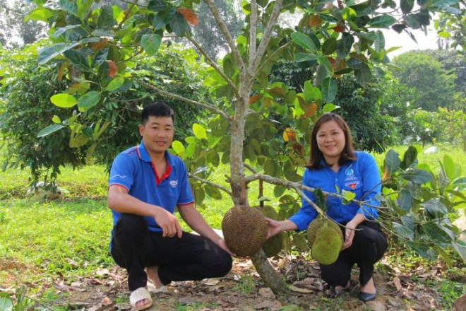 Những trái ngọt đã đến với chàng thanh niên 9X.