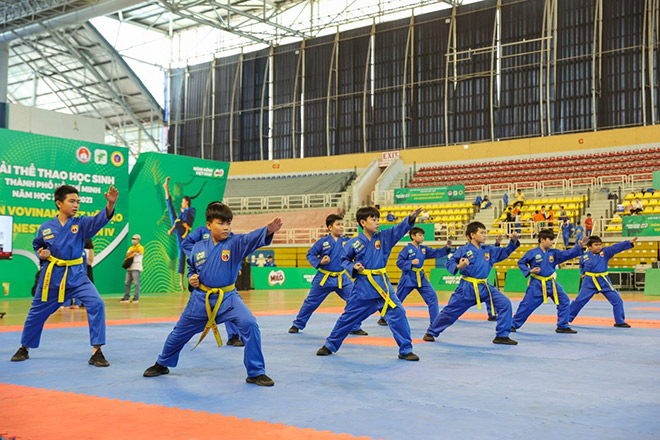 Phần thi của đội nam tại Giải Hội Khỏe Phù Đổng Môn Vovinam Việt Võ Đạo – Cúp Nestlé MILO lần IV.