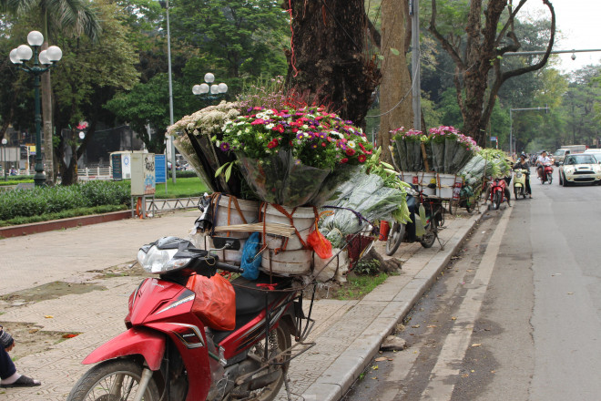 Theo ghi nhận, tại các tuyến đường của Hà Nội như Nguyễn Trãi, Văn Cao, Lạc Long Quân,... không khó để bắt gặp những chiếc xe chở đầy hoa baby gạo đi khắp đường, ngõ.