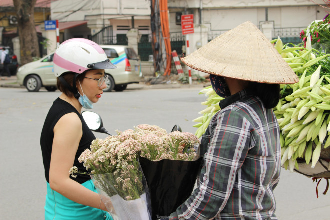 Nhiều người tò mò, tìm mua bởi vẻ đẹp và cái tên độc lạ của loại hoa này.