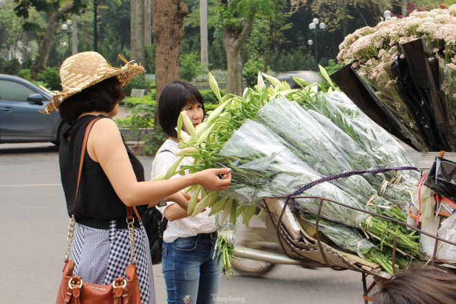 Chị N.P.N – khách mua hoa cho biết: “Tôi đi ngang qua và thấy loài hoa này trông rất mới lạ nên mua về để cắm trong nhà”.