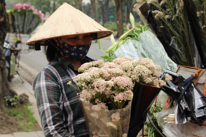 Cô Nguyễn Thị Loan – tiểu thương bán hàng chia sẻ: “Thời điểm này đang rất ‘hot’ loài hoa này vì mọi năm không có, hoa thu hút khách bởi vẻ đẹp lạ và sống lâu”.