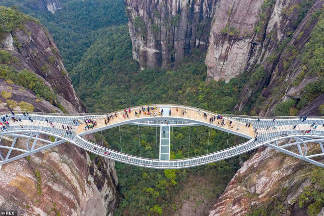 Cây cầu này có tên là Ruyi dài 100m, ở độ cao 140m bắc qua thung lũng Shenxianju ở tỉnh Chiết Giang, Trung Quốc. Đây là một thiết kế của He Yunchang, một chuyên gia kết cấu thép nổi tiếng, người từng tham gia thiết kế Sân vận động Tổ chim ở Bắc Kinh cho Thế vận hội 2008.