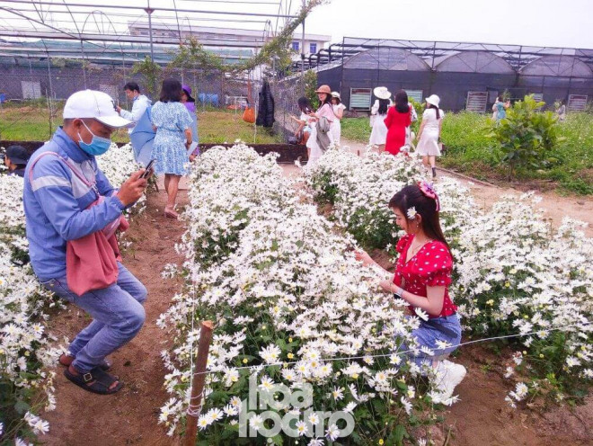 Anh bạn trai "ga lăng" sẵn sàng ôm đồ và không ngại mỏi chân để chụp cho bạn gái mình những tấm ảnh đẹp nhất.