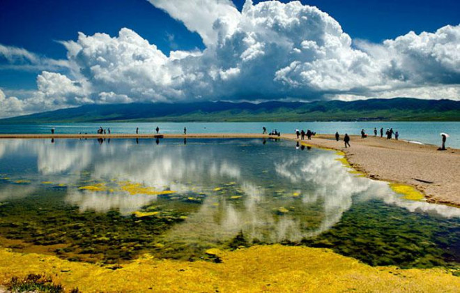 Có nhiều thứ để khám phá tại hồ Thanh Hải - nơi được mệnh danh là "Đại dương Hoa", "Thiên đường của các loài chim"… (Ảnh: chinadiscovery)