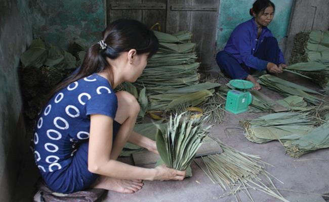 &nbsp;Lá tre ở các vùng núi (như Hòa Bình) phát triển tự nhiên, không cần phải chăm sóc. Lá tre sẽ được người dân thu hái, sau đó bán cho các cơ sở thu mua. Mùa thu mua bắt đầu từ tháng 5, 6 âm lịch đến tháng 10 hàng năm.
