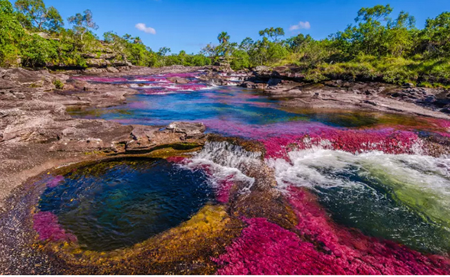 Caño Cristales ở Colombia: Là một trong những kỳ quan sinh học hấp dẫn nhất của Colombia, Caño Cristales nổi tiếng với nhiều tên gọi như “dòng sông ngũ sắc” hay “dòng sông đẹp nhất thế giới”.
