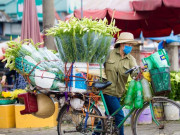 Thị trường - Tiêu dùng - Hà Nội: Xao xuyến những xe hoa loa kèn chở nguồn sống của nhiều lao động ngoại tỉnh