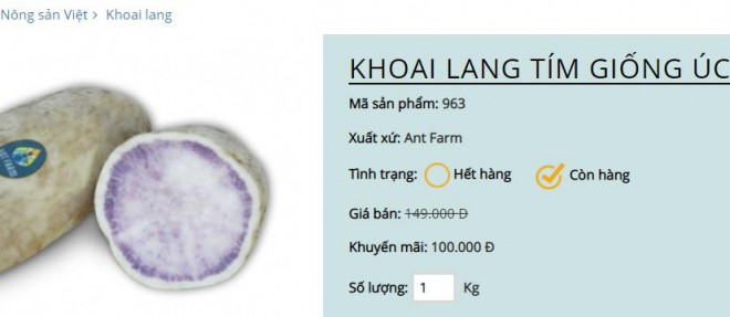 Khoai lang tím giảm giá sâu vẫn còn giá 100.000 đồng/kg