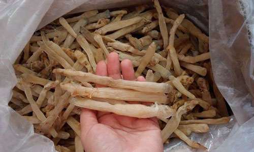 Mì chính của nhà giàu