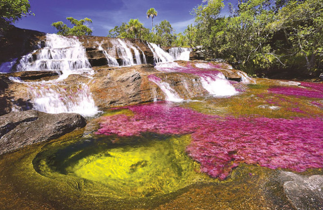 “Dòng sông cầu vồng” Cano Cristales là một trong những kỳ quan thiên nhiên ngoạn mục nhất thế giới.