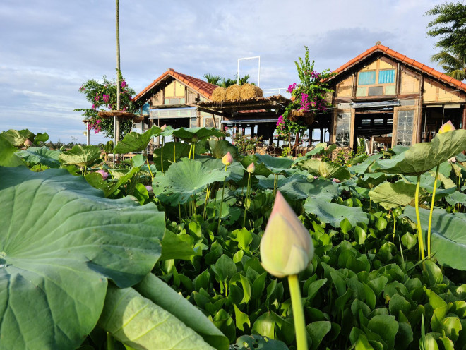 Những cửa tiệm cà phê có "view" độc đáo nhất phố cổ Hội An bạn không thể bỏ lỡ - 3