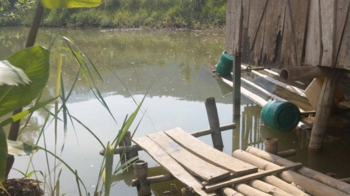 Khu vực ao nước nơi tìm thấy 3 thu thể học sinh