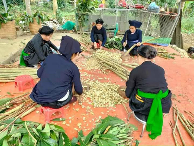 Lương y Thái đang làm thuốc cho bệnh nhân