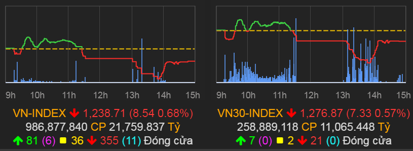VN-Index giảm 8,54 điểm (-0,68%) xuống 1.238,71 điểm.