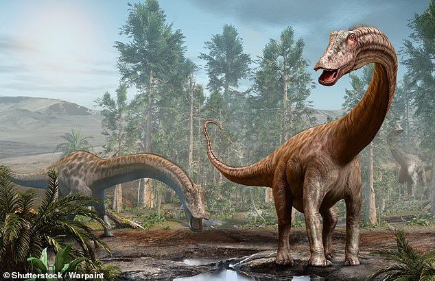 Sauropod tức khủng long cổ dài là những "quái thú" lớn nhất từng bước đi trên các lục địa - Ảnh: WARPAINT