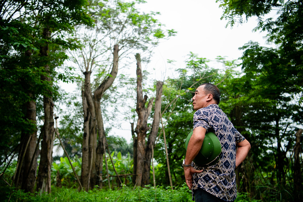 &nbsp;Ông Hưng mong muốn các cơ quan chức năng sớm có phương án đánh chuyển số cây trên để ông trả đất cho người cho thuê, đồng thời thanh toán nốt số tiền trong hợp đồng đã kí trước đó.