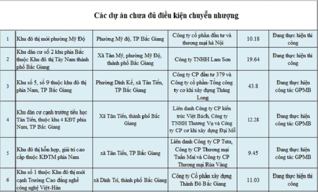 Bắc Giang “cảnh báo” loạt dự án chưa đủ điều kiện chuyển nhượng - 2