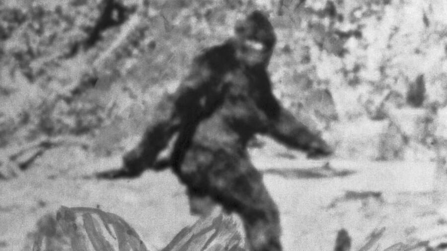 Hình ảnh quái vật huyền thoại Bigfoot gây kinh ngạc năm 1967.