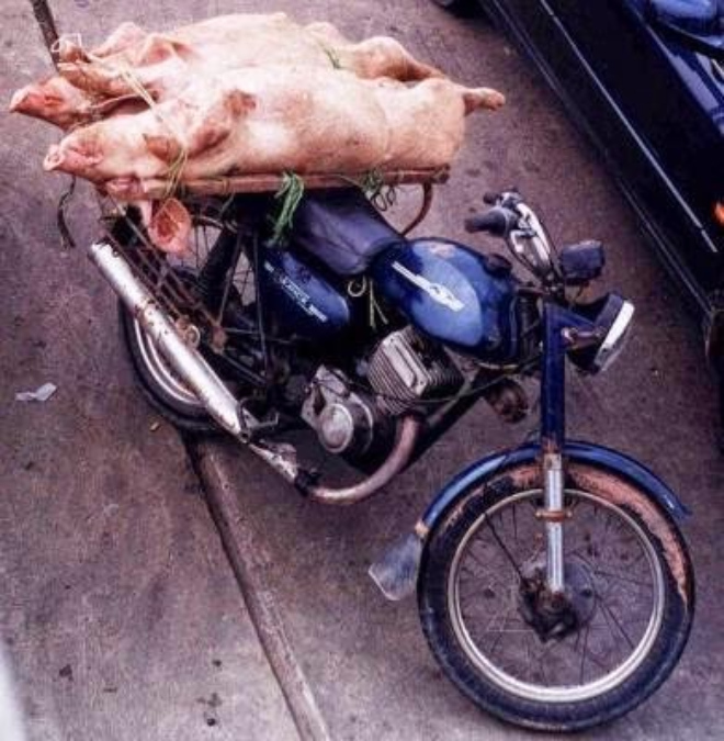 Số phận Minsk Khờ ở Việt Nam: Từ gia sản của đại gia mũ cối thành xe chở lợn - 6