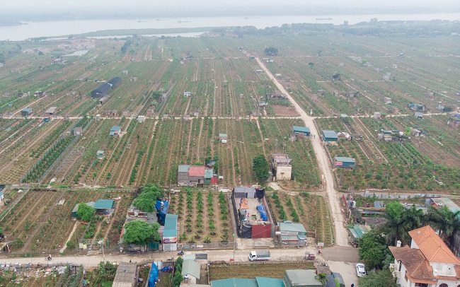 Phạm vi quy hoạch phía Bắc đến đê tả ngạn và phía Nam đến đê hữu ngạn sông Hồng, chiều dài khoảng 40 km. Trong tổng diện tích nghiên cứu khoảng 11.000 ha, sông Hồng chiếm 3.600 ha (33%), đất bãi sông trên 5.400 ha (50%).
