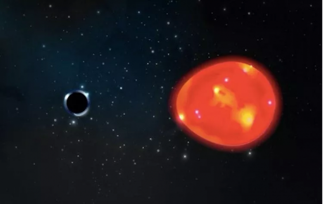 Ảnh đồ hoa mô tả lỗ đen Kỳ Lân và ngôi sao khổng lồ đỏ bị nó biến thành hình quả trứng - Ảnh: Lauren Fanfer/Space