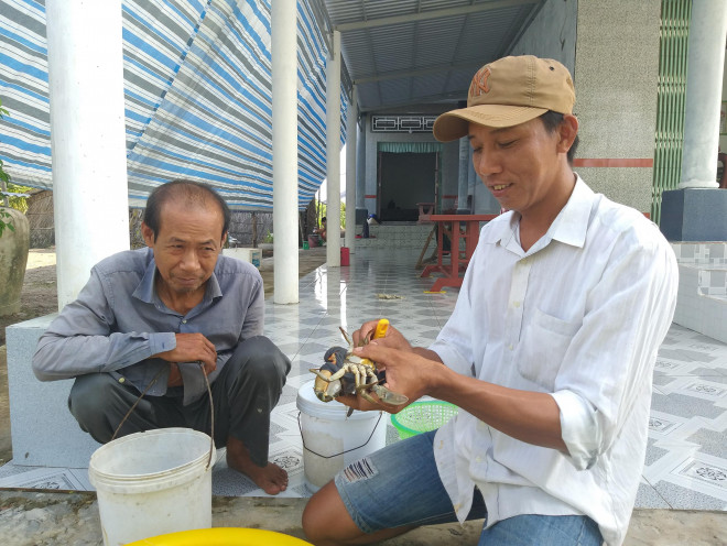 Thương lái đến tận nhà thu mua cua