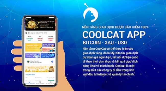 Coolcat tự nêu là công ty duy nhất được bảo hiểm 100% vốn giao dịch ở Việt Nam