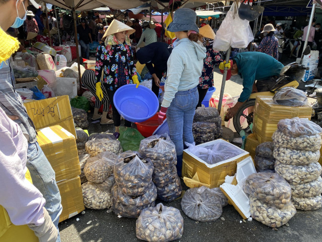 Hải sản ở chợ dồi dào