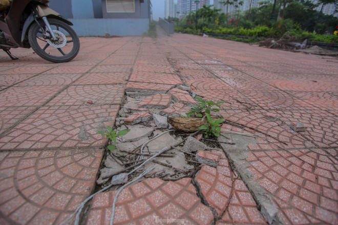 Vỉa hè bên ngoài bong tróc, vỡ vụn.