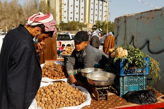 Sau khi nấm được tìm thấy, người bán sẽ phân loại chúng rồi đem ra chợ bán ở Samawa.
