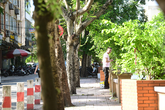 Xung quanh hồ Láng trước đây thường được các quán cà phê tận dụng bán hàng, nay cũng nghiêm chỉnh chấp hành đúng yêu cầu của ban chỉ đạo phòng chống COVID-19.