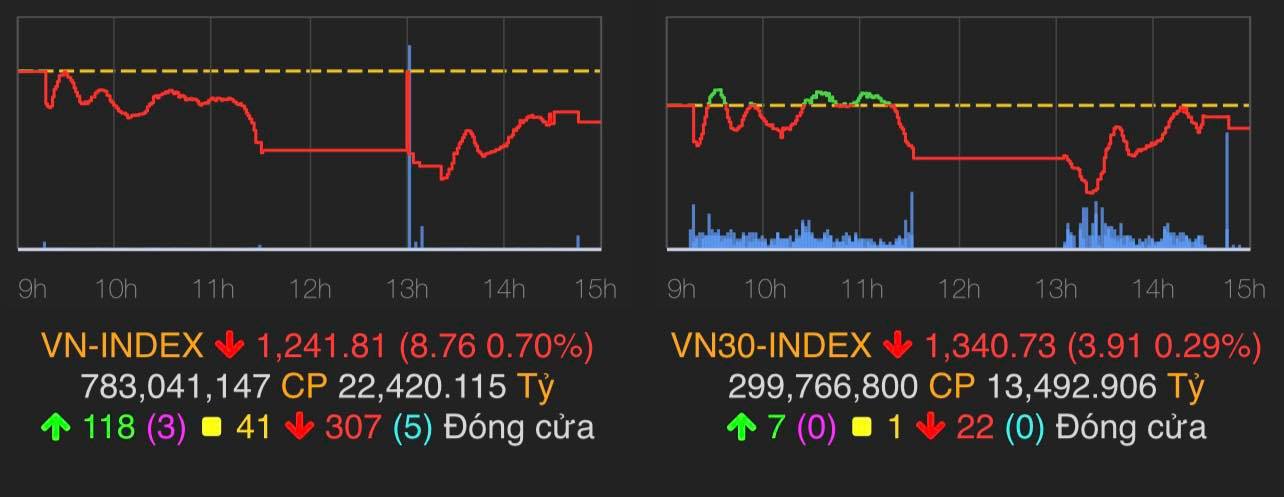 VN-Index giảm 8,76 điểm (-0,7%) xuống 1.241,81 điểm.