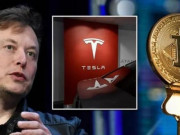 Công nghệ thông tin - Sự &quot;mong manh&quot; của tiền ảo: Elon Musk vừa đăng bài, chỉ 45 phút sau Bitcoin rớt giá mạnh