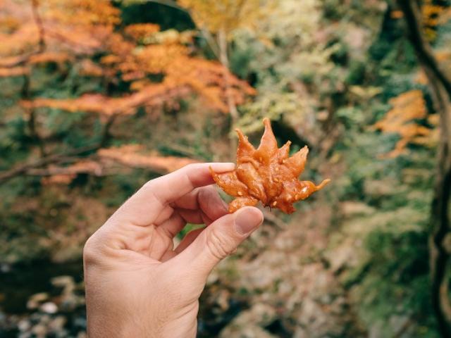 Loại lá cây tưởng chỉ có thể bỏ đi được người Nhật hô biến thành món đặc sản thơm ngon