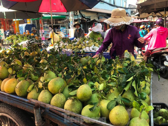 “Ảnh hưởng dịch bệnh COVID-19, chúng tôi gặp nhiều khó khăn khi xuất hàng nên đưa ra chợ và bán trong nước là chủ yếu. Bên cạnh đó, nhiều nhà hàng, khách sạn, quán ăn… đóng cửa hoặc hạn chế kinh doanh vì khi nhiều tỉnh bùng dịch cũng khiến cho việc tiêu thụ ùn lại. Trái cây nhiều nhưng đầu ra gặp khó khiến giá thành giảm. Đầu mua đã rẻ vậy, khi vào chính vụ sẽ còn rẻ hơn nếu dịch vẫn còn phức tạp” – bà Thanh, thương lái chuyên cung cấp trái cây tại TPHCM lo lắng nói.