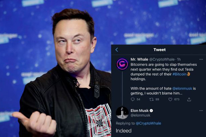 Đoạn retweet được Elon Musk trả lời đầy ẩn ý trước câu hỏi của&nbsp;@CryptoWhale.