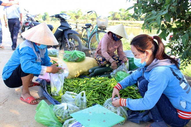 Những ngày qua, Hội Nông dân xã Hòa Phong phối hợp với Hội Nông dân TP Đà Nẵng hỗ trợ nông dân “giải cứu” ớt thông qua mạng xã hội zalo. Trước mắt, 1,5 tấn ớt ùn ứ từ đầu mùa dịch đã được Hội Nông dân các quận, các phường cùng một số đơn vị hỗ trợ giải quyết.