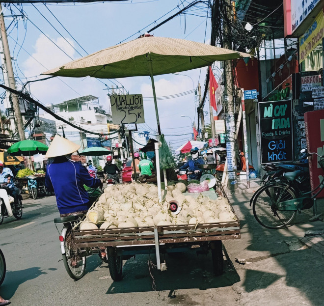 Dưa lưới có giá 25.000 đồng/kg. Ảnh: Thu Hà