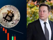 Công nghệ thông tin - Điều gì làm Bitcoin lên xuống chóng mặt: Elon Musk đang đùa với cuộc đời của vô số người?