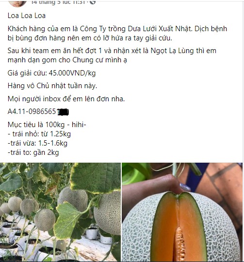 Dưa lưới nhà màng được bán với giá 45.000 đồng/kg. Ảnh chụp màn hình