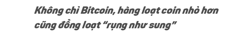Bitcoin và những cú nhảy &#34;điên loạn&#34;: Niềm tin hàng loạt nhà đầu tư &#34;vỡ vụn&#34; - 8