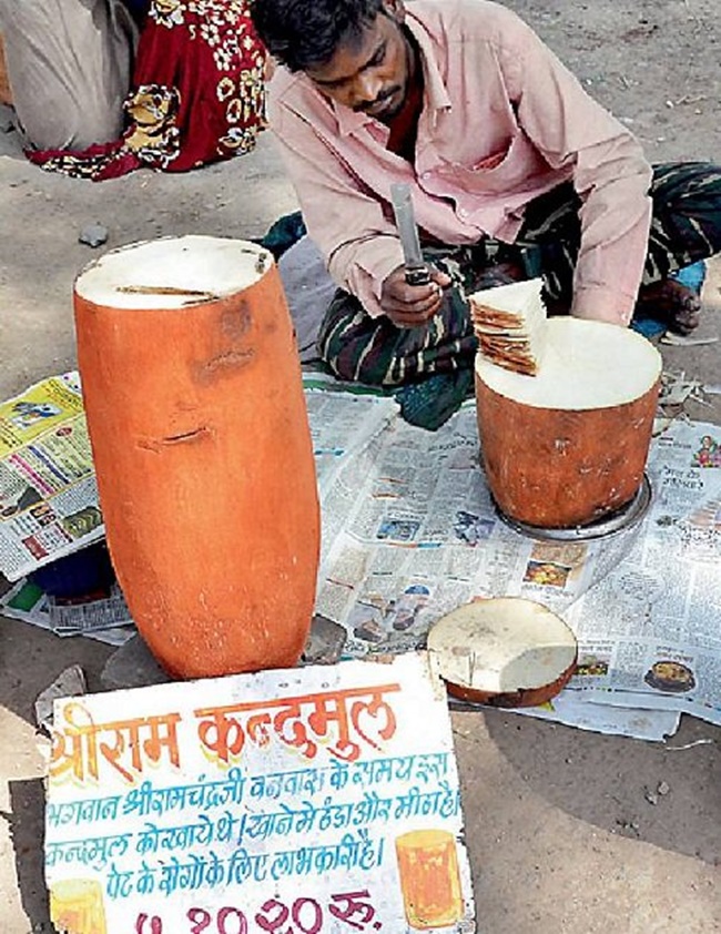 Ngoài ăn giải nhiệt, ở Ấn Độ, người ta dùng củ này để có thể chế ra một số loại thuốc...
