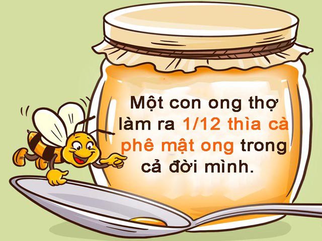 Khi phải đối mặt với khó khăn, hãy suy nghĩ như một con ong - 5