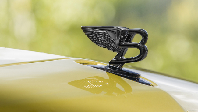 Biểu tượng chữ B hình cánh chim huyền thoại được gắn trên đầu xe.
