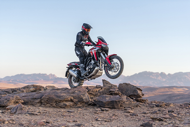 africa twin