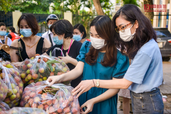 Giá vải tại đây được bán với giá là 20.000 đồng/kg, để hỗ trợ, bà con nông dân, nhóm thiện nguyện đã đóng sẵn vào các túi nylon sau đó vận chuyển lên Hà Nội, mỗi túi 10 kg.