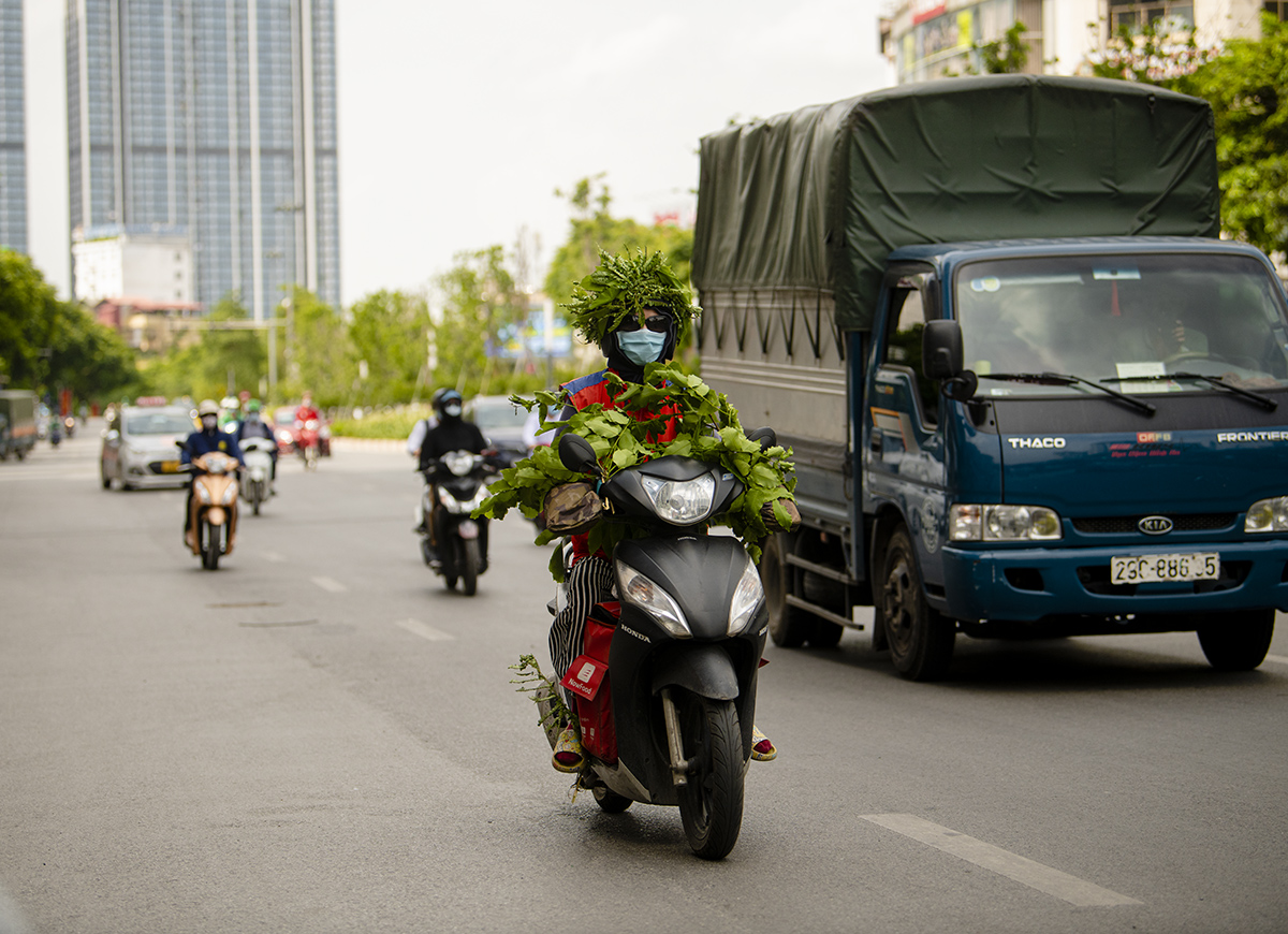 “Ngụy trang” độc đáo chống nắng nóng ở HN: Lấy lá cây quấn quanh người - 7