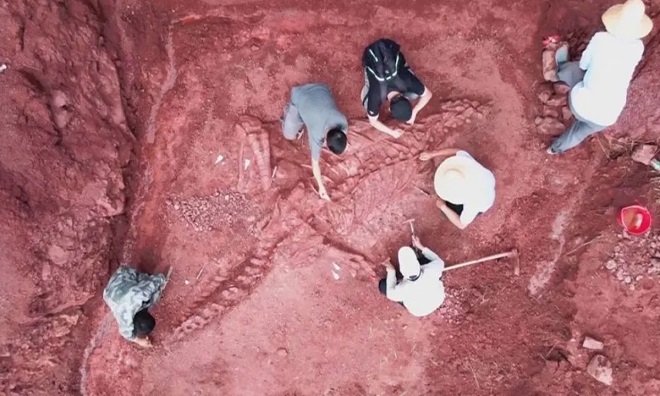 Các nhà cổ sinh vật học Trung Quốc mới tìm thấy hóa thạch khủng long tương đối hoàn chỉnh.